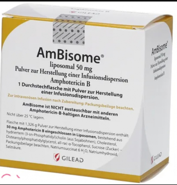 Amphotret (amphotericin B) 50 mg for intravenous injection BHARAT, India - photo